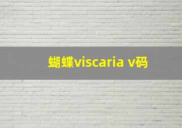 蝴蝶viscaria v码